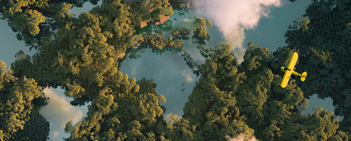 An Aerial view of the forest and a plane