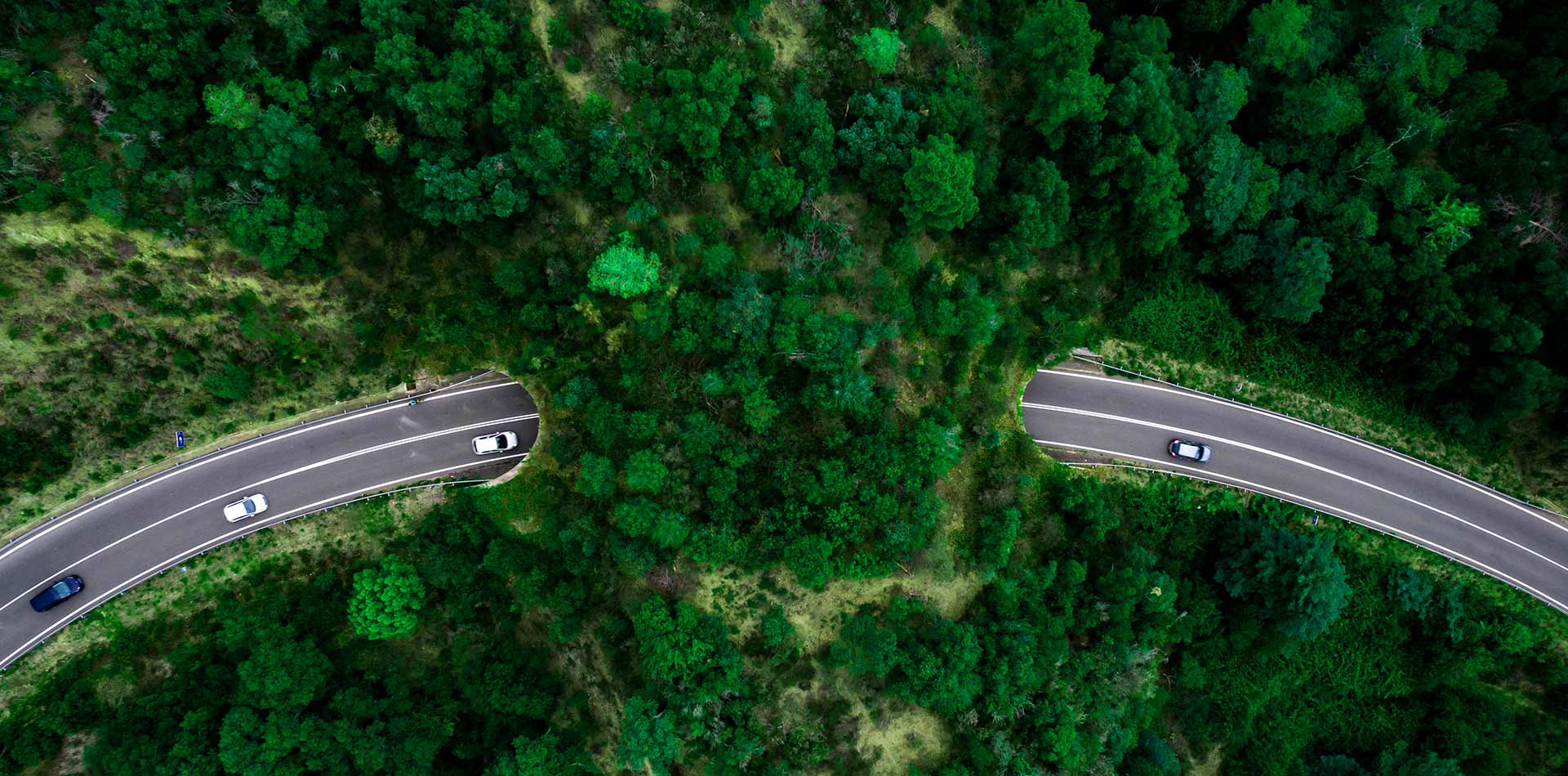 俯瞰一条弯曲的道路穿过茂密的绿色森林，几辆车缓缓行驶其中。