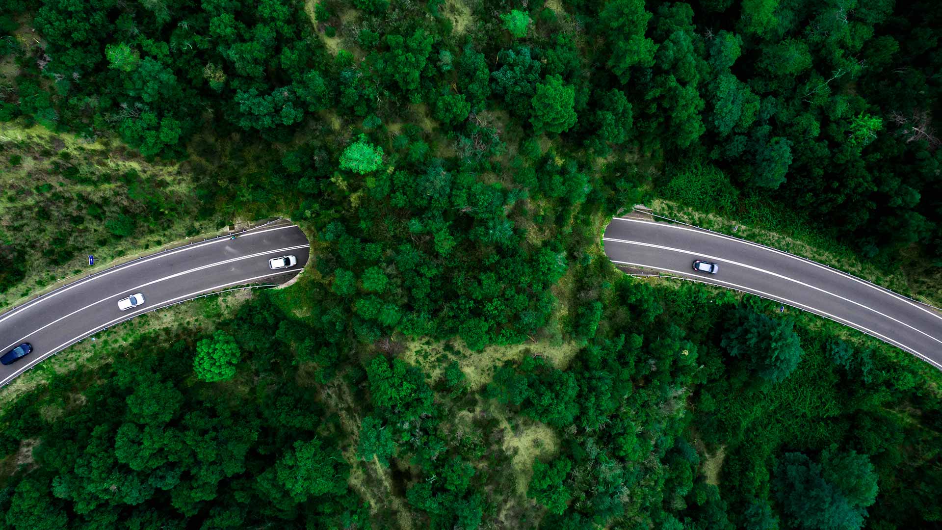 俯瞰弯曲公路，穿过茂密绿林，多辆白色汽车行驶其上。