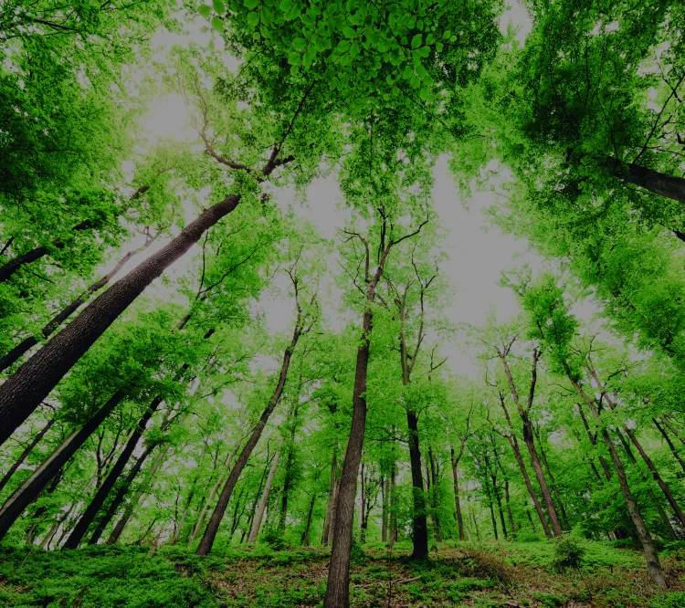 Sustainable technology label initiative banner mobile