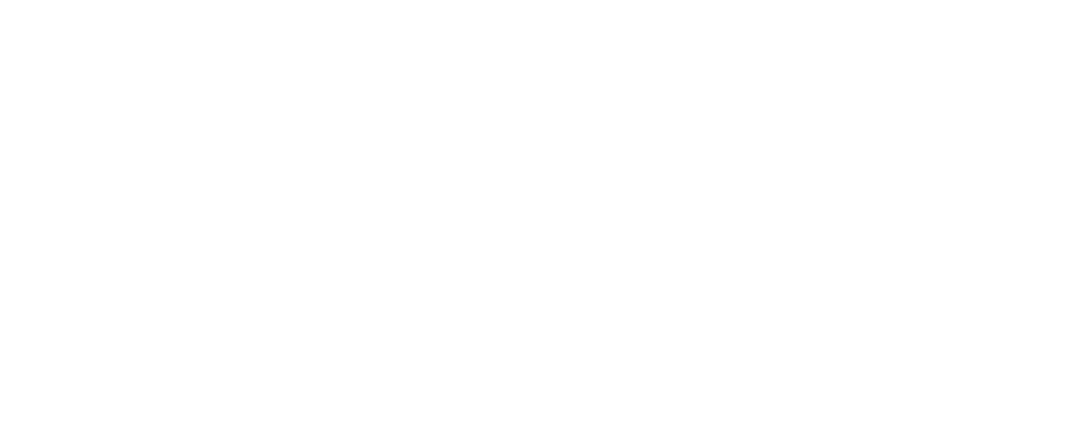 Logo Flex